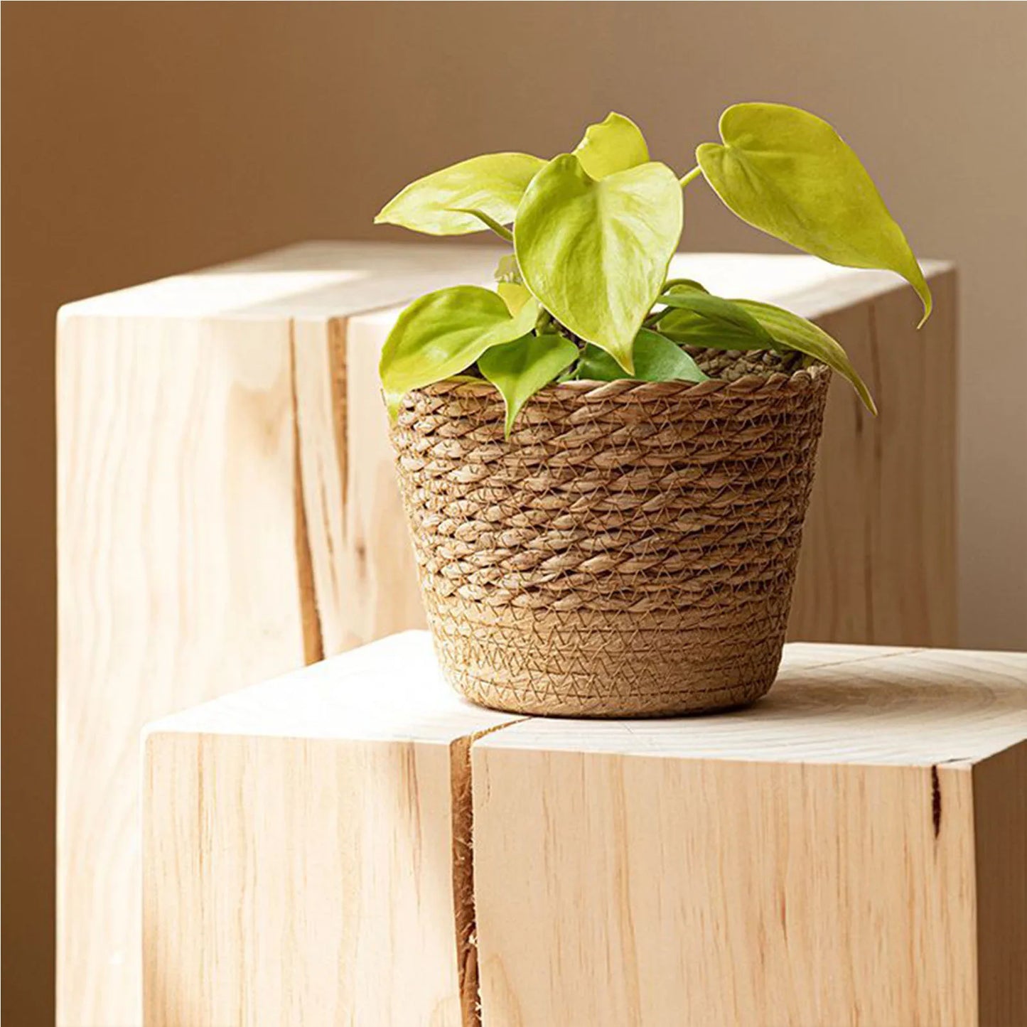 Panier Tressé Naturel S, M & L | Maison Utile