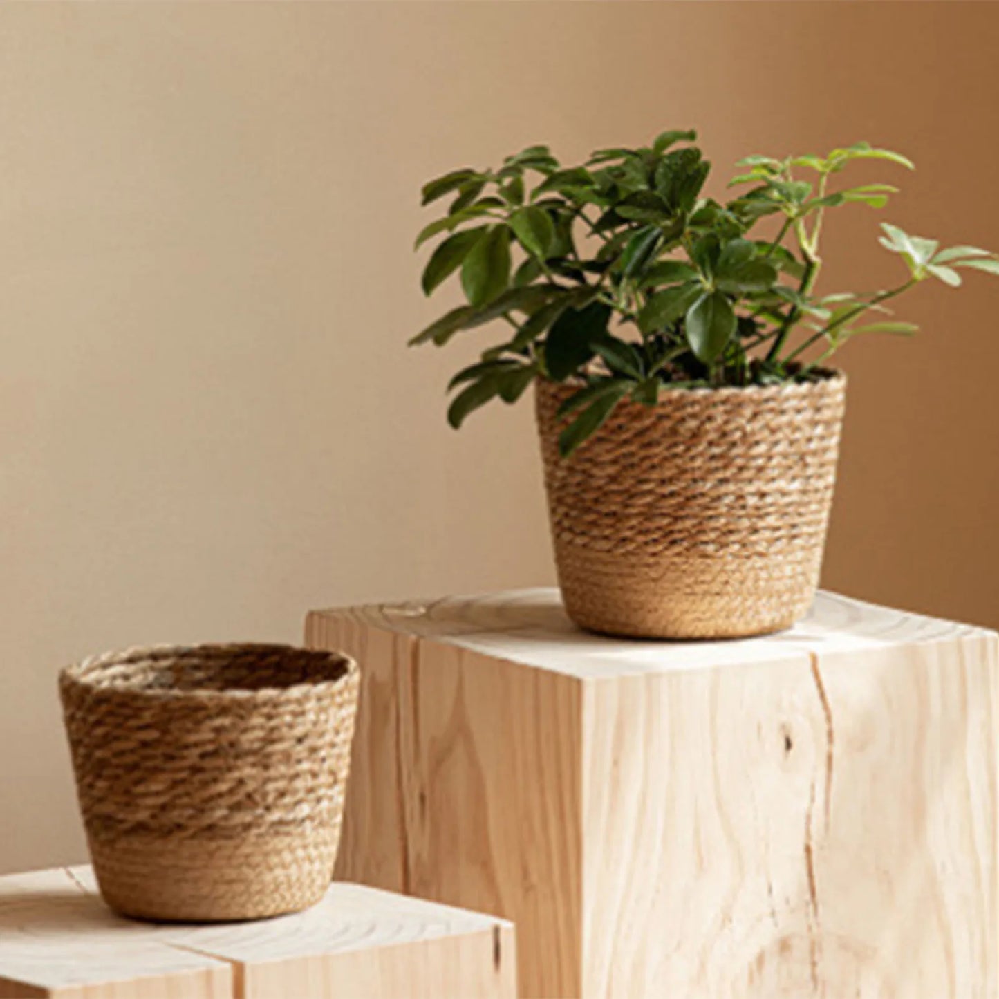 Panier Tressé Naturel S, M & L | Maison Utile
