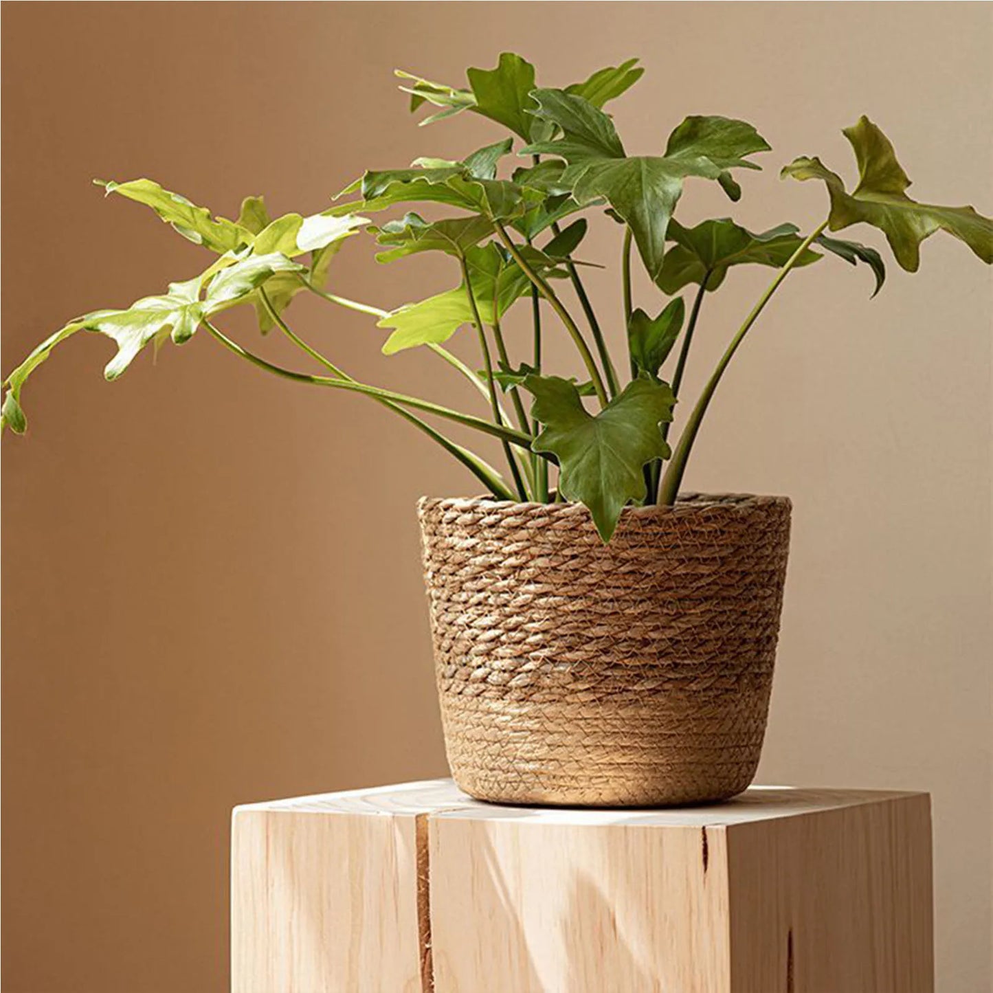 Panier Tressé Naturel S, M & L | Maison Utile
